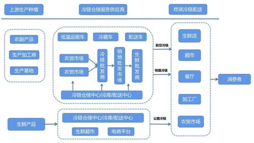 农产品冷链物流发展浅析,价值链再造